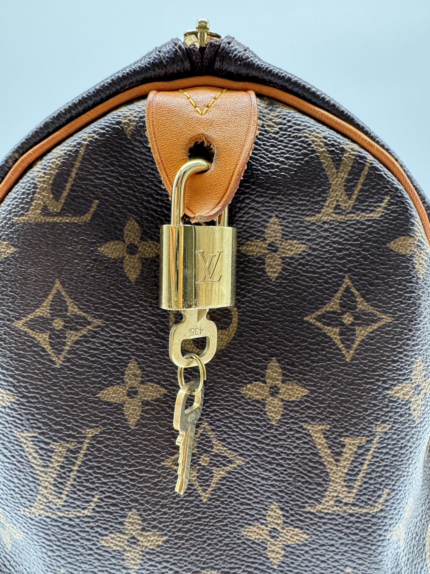 Louis Vuitton Monogram Speedy 30 Handbag