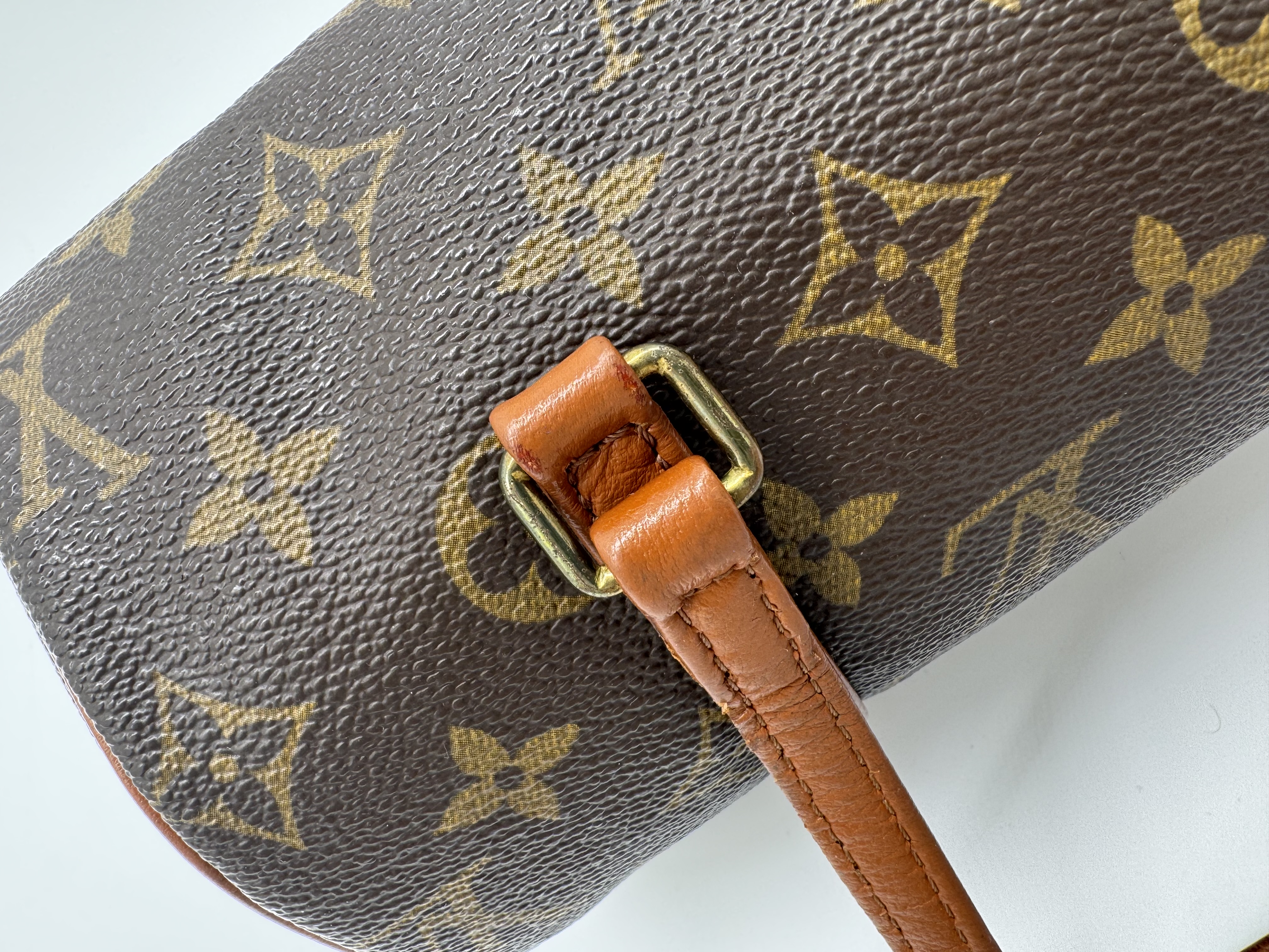 Louis Vuitton Papillon 26 demo image