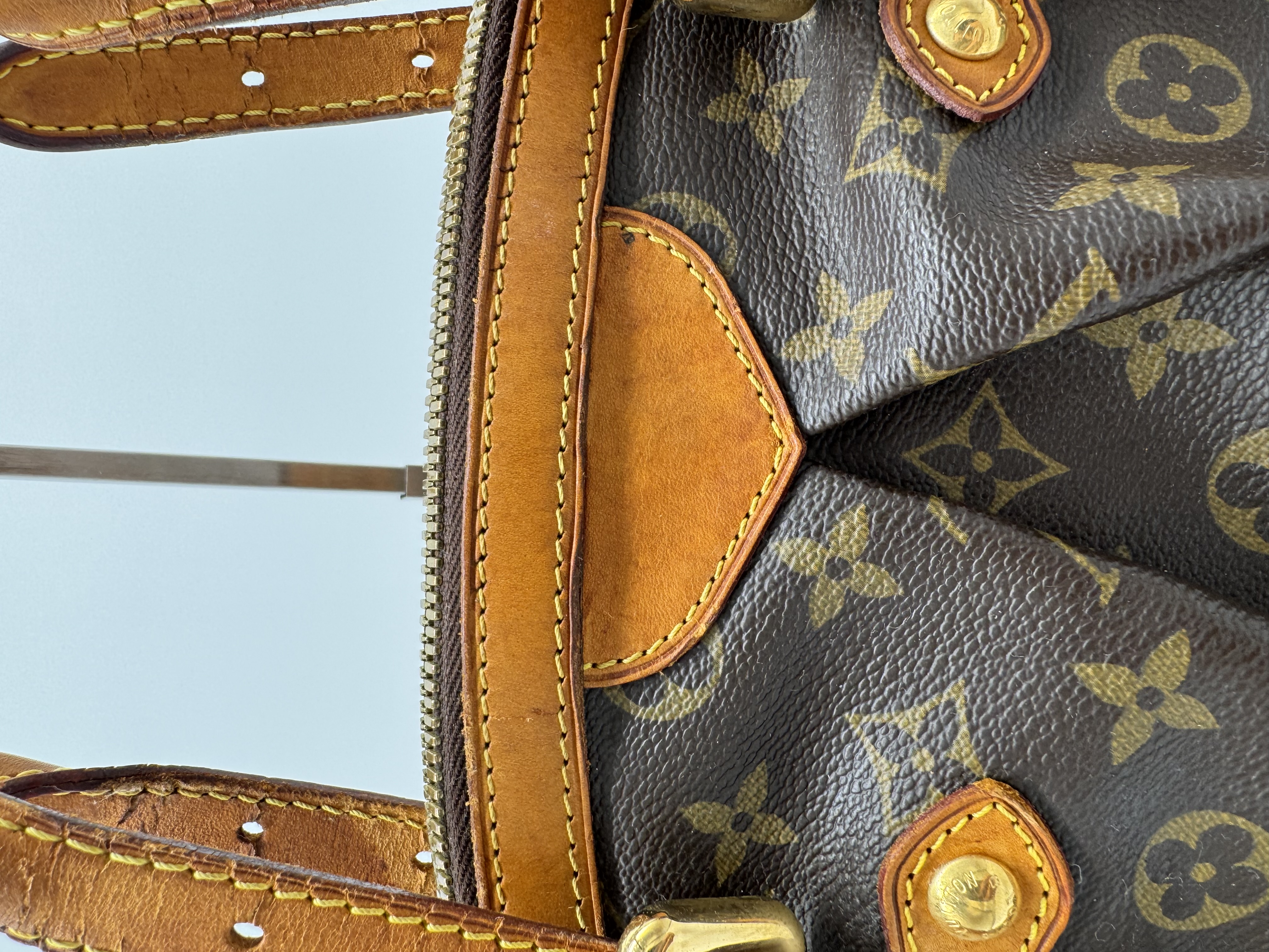 Louis Vuitton Neverfull MM — Monogram — demo image