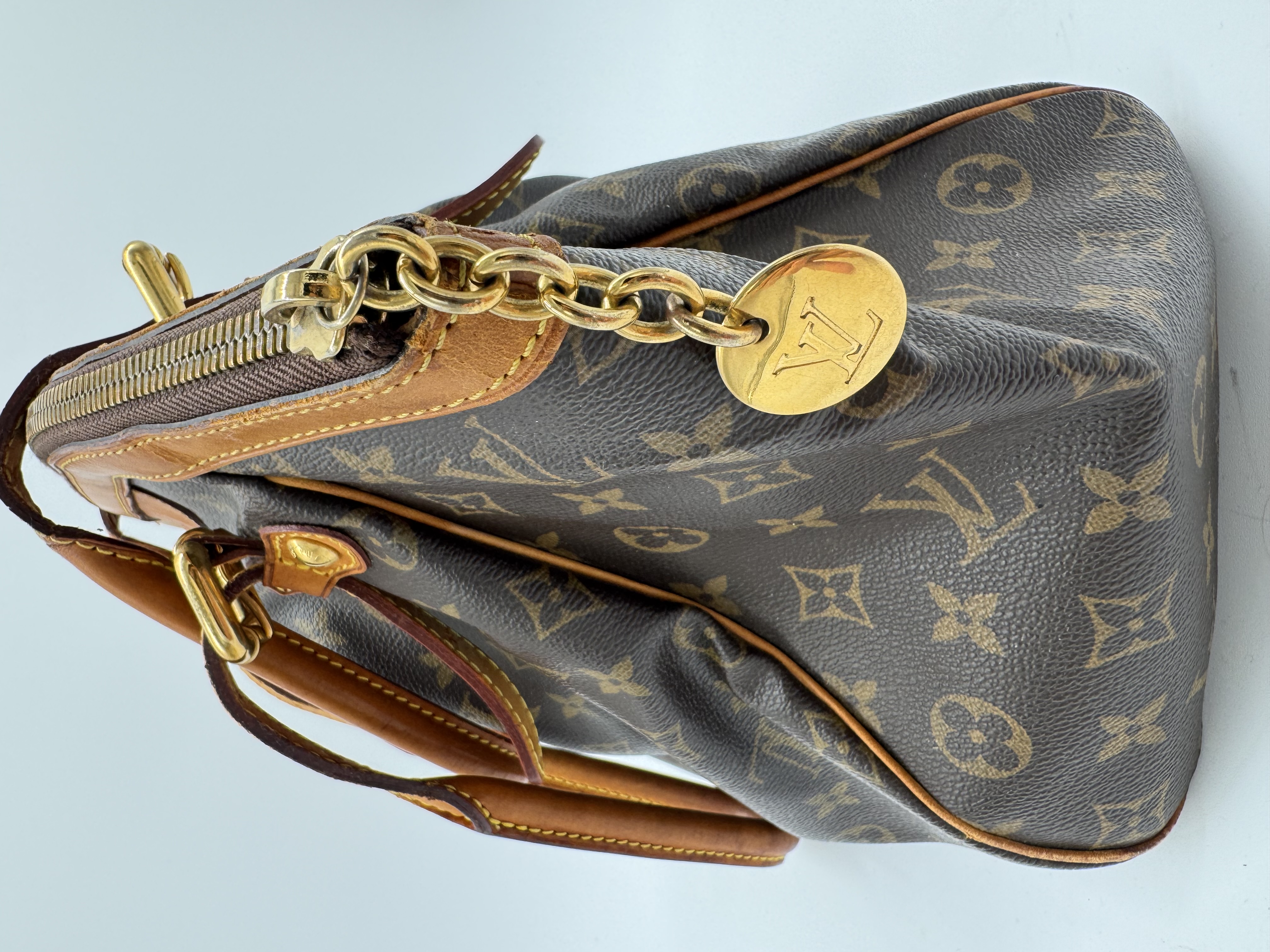 Louis Vuitton Neverfull MM — Monogram — demo image