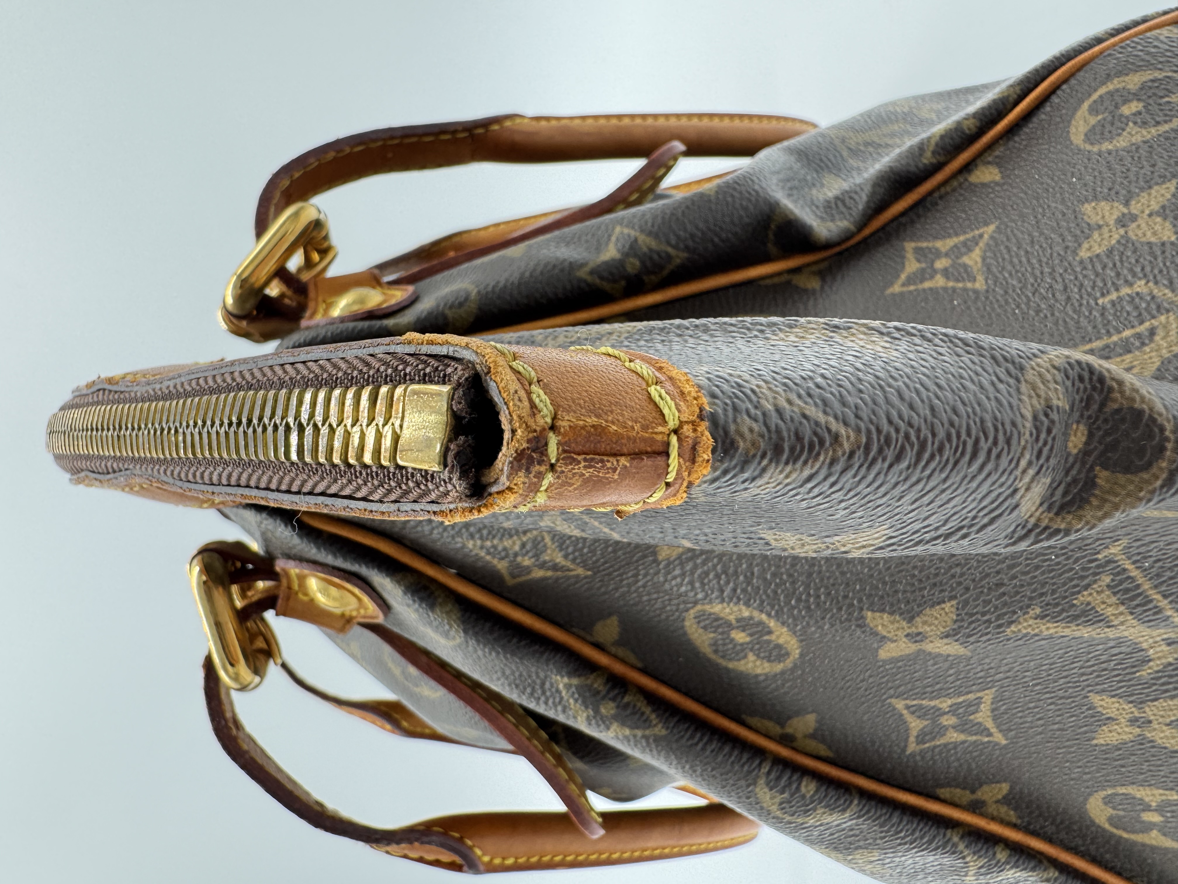 Louis Vuitton Neverfull MM — Monogram — demo image