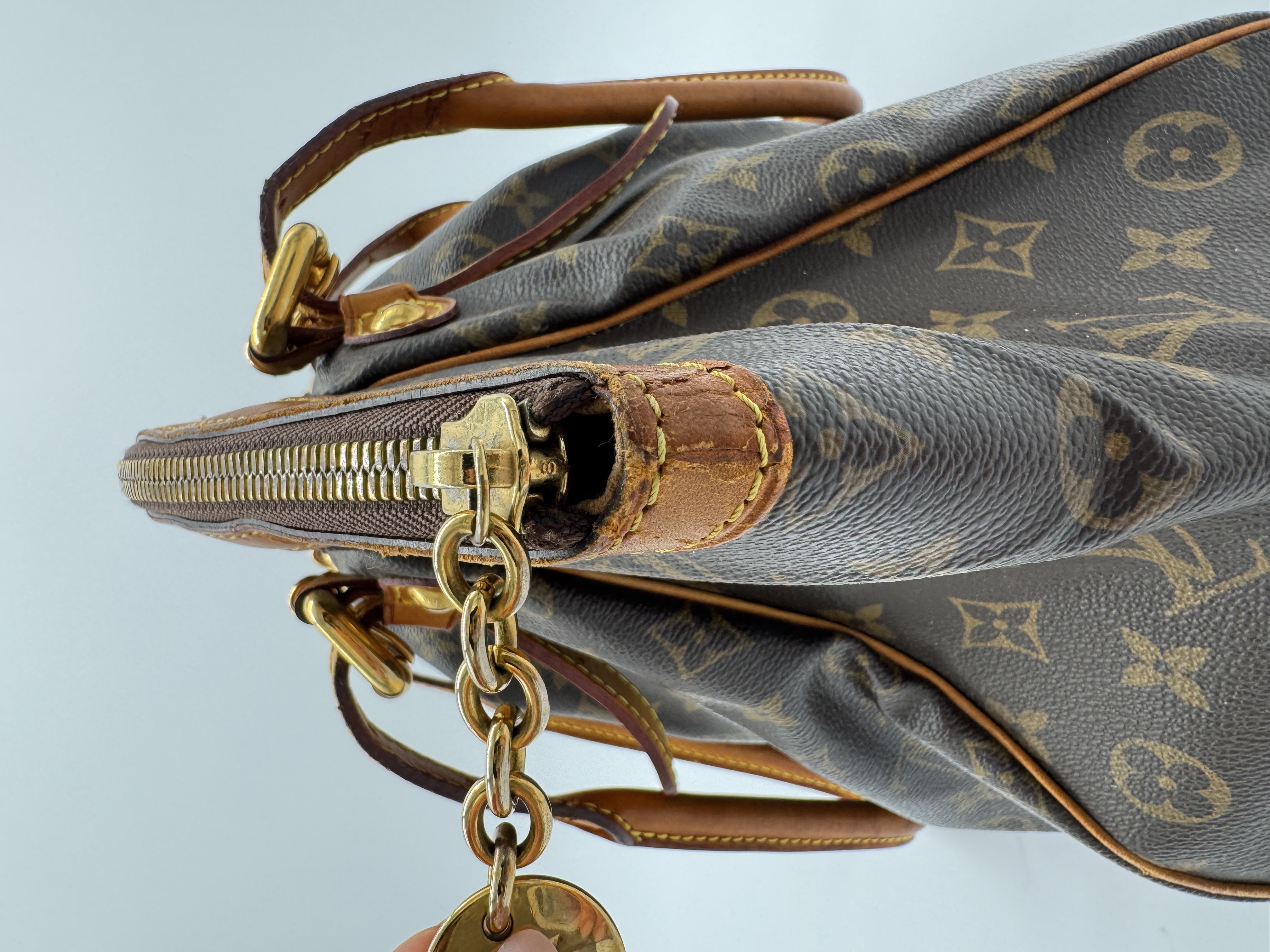Louis Vuitton Neverfull MM — Monogram — demo image