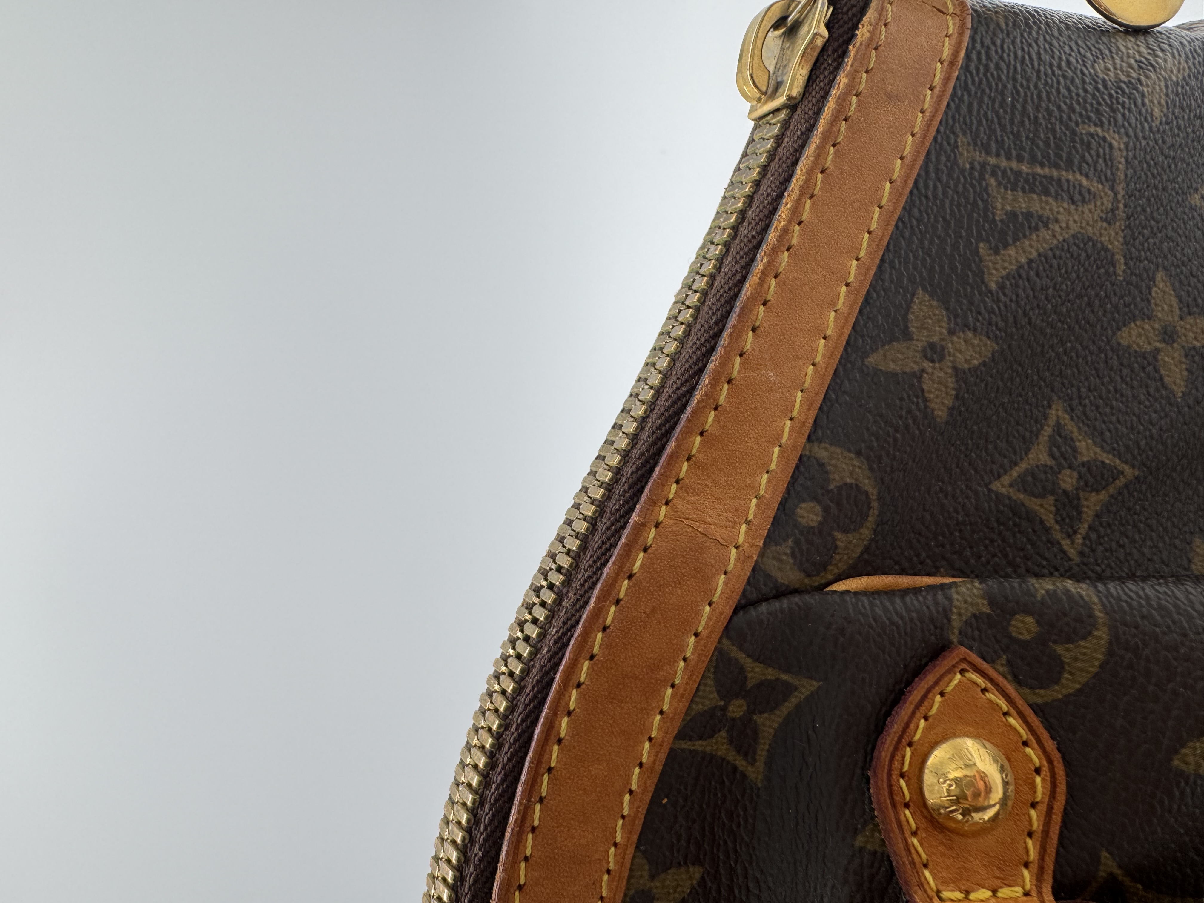 Louis Vuitton Neverfull MM — Monogram — demo image